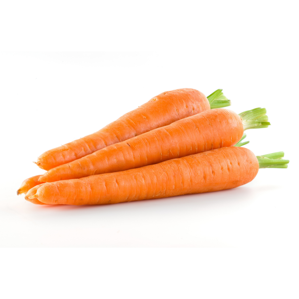 Bio Karotten normal